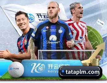 华体会体育app的故事 - 最新体育资讯全方位服务