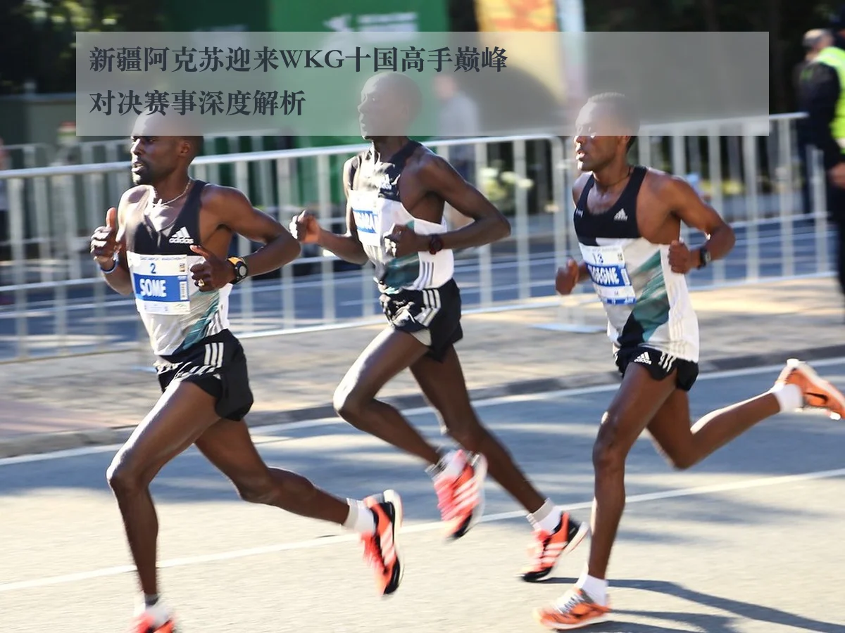 新疆阿克苏迎来WKG十国高手巅峰对决赛事深度解析